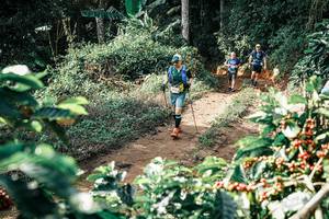 BIB: 
                            <button type="button" onclick="openModal(25857050)" class="btn btn-primary btn-sm float-right btn-popup" data-toggle="modal" data-target=".modal-high-quality">
                        <i class="fas fa-shopping-cart"></i> Add to Cart
                    </button>
                                            <button type="button" onclick="isThisMe(25857050, true)" class="btn btn-success btn-sm float-right btn-popup btn-isme hidden" data-toggle="tooltip" data-placement="bottom" title="นี่คือรูปของคุณใช่ไหม คลิกที่นี่เพื่อเอาเข้าอัลบั้ม">
                        <i class="fas fa-plus"></i> Add to album
                    </button>
                    <button type="button" onclick="isThisMe(25857050, false)" class="btn btn-warning btn-sm float-right btn-popup btn-isnotme hidden">
                        <i class="fas fa-ban"></i> Remove from album
                    </button>